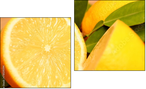 Zitronen - Two-piece canvas, Diptych