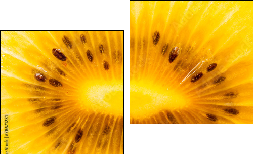 Yellow kiwi fruit on a white background - Two-piece canvas, Diptych