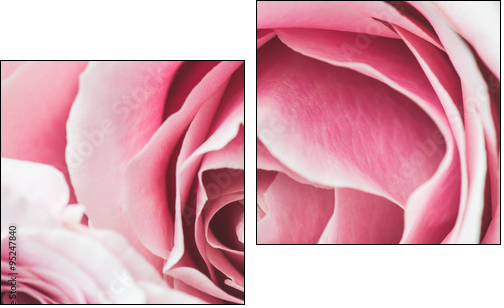 Pink Rose Flower with shallow depth of field and focus the centre of rose flower  - Two-piece canvas, Diptych
