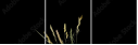 10925882