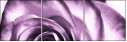 11865044