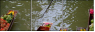 1612424