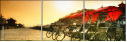 16482031