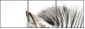 17246984