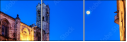 23156604