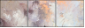 24599717
