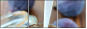 26311404