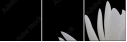 31116777