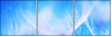 31914097