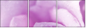 33326432