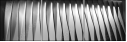35619001