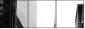 3629427