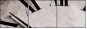 3950638