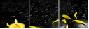 43880281