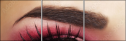 45479444