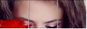 46286616