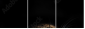 48606369