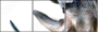 49240267