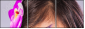 52845719
