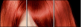 53895869