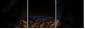 54170088