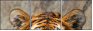 59798134
