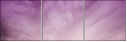 65457825