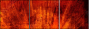 6550561