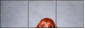 71939351