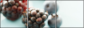 75558207