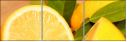 78139394