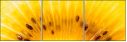 78671231