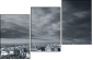 11361747