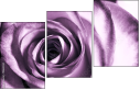 11865044