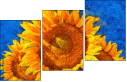 121341764