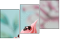 12612957