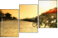 16482031