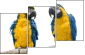 18738718