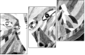 21369236