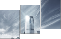 23194716