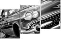 24931729