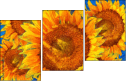 256376669