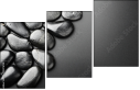 25876138