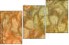265907570
