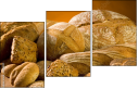 2788091