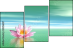 29216817