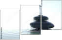 29229555