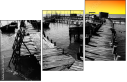 29692961