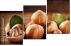 41588665