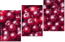 43026743